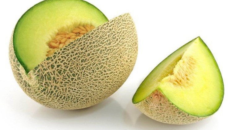 Πεπόνι-γίγας στην Κρήτη – ΦΩΤΟ