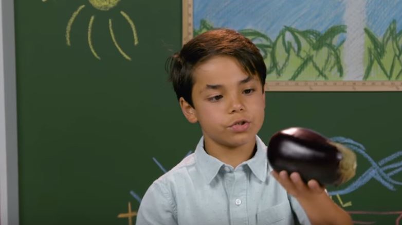 Πώς αντιδρούν παιδιά από τις ΗΠΑ όταν δοκιμάζουν ελληνικά φαγητά – ΒΙΝΤΕΟ