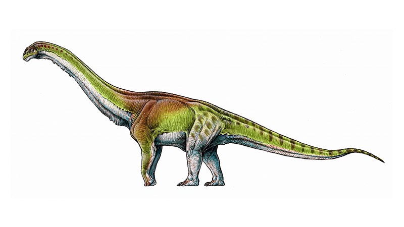 Αυτός είναι ο μεγαλύτερος δεινόσαυρος και ίσως το μεγαλύτερο ζώο που υπήρξε στη Γη – ΦΩΤΟ