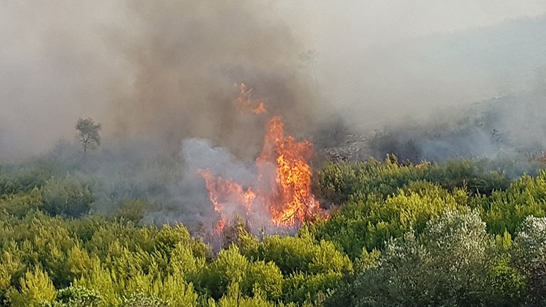 Μαίνεται η πυρκαγιά στη Ζάκυνθο