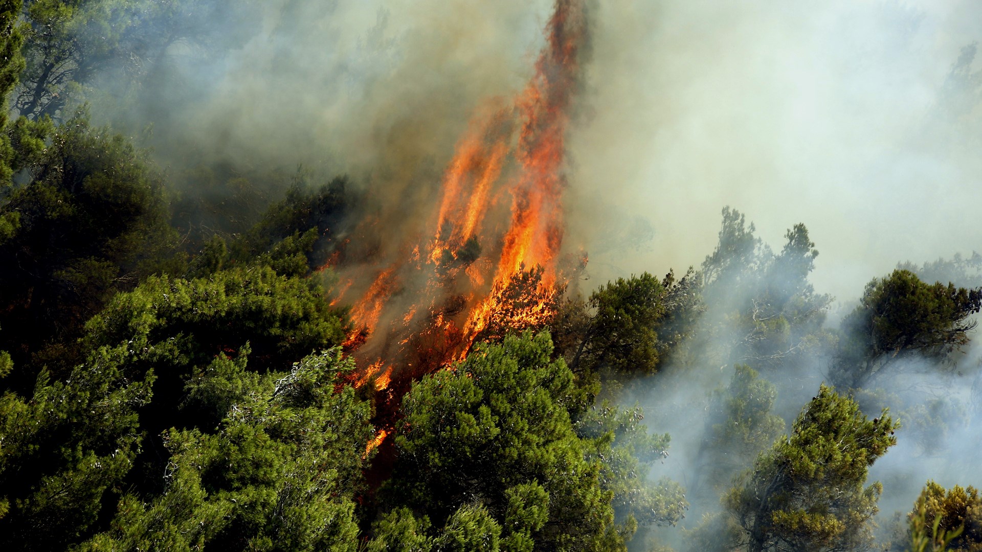 Πολύ υψηλός κίνδυνος πυρκαγιάς σήμερα – Σε εξέλιξη πέντε φωτιές