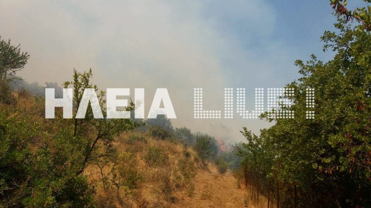 Μεγάλη φωτιά στην Ηλεία