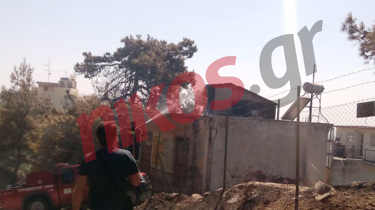 Δίπλα στα σπίτια έφτασε η φωτιά στην Καισαριανή – ΦΩΤΟ αναγνώστη