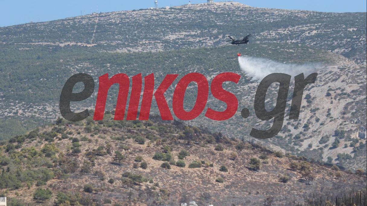 Σε ύφεση η φωτιά στην Καισαριανή – ΦΩΤΟ αναγνώστη