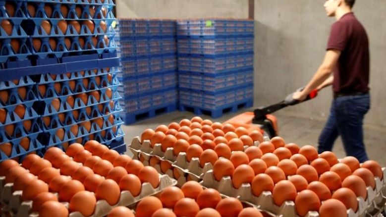 Ανησυχία στην Ευρώπη – Αυξάνονται οι χώρες όπου κυκλοφορούν μολυσμένα αυγά