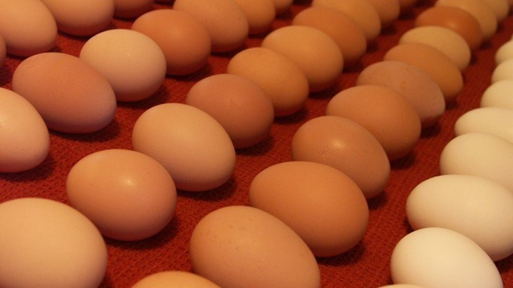 Ο αντιπρόεδρος του ΕΦΕΤ στον Realfm 97,8 για το σκάνδαλο με τα αυγά