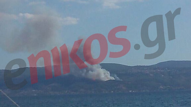 Κοντά σε σπίτια η πυρκαγιά στον Κάλαμο – ΦΩΤΟ αναγνώστη