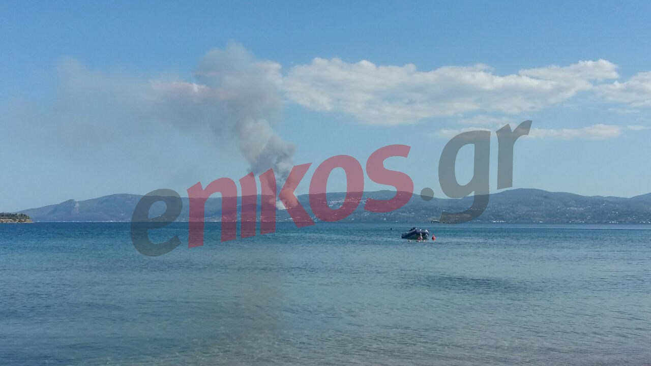 Νέες εικόνες από την πυρκαγιά που ξέσπασε στους Αγίους Αποστόλους – ΦΩΤΟ αναγνωστών