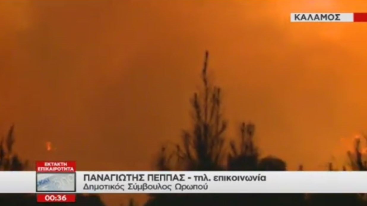 Δραματική έκκληση δημοτικού συμβούλου του Ωρωπού: Να επέμβει ο στρατός, θα θρηνήσουμε θύματα – ΒΙΝΤΕΟ