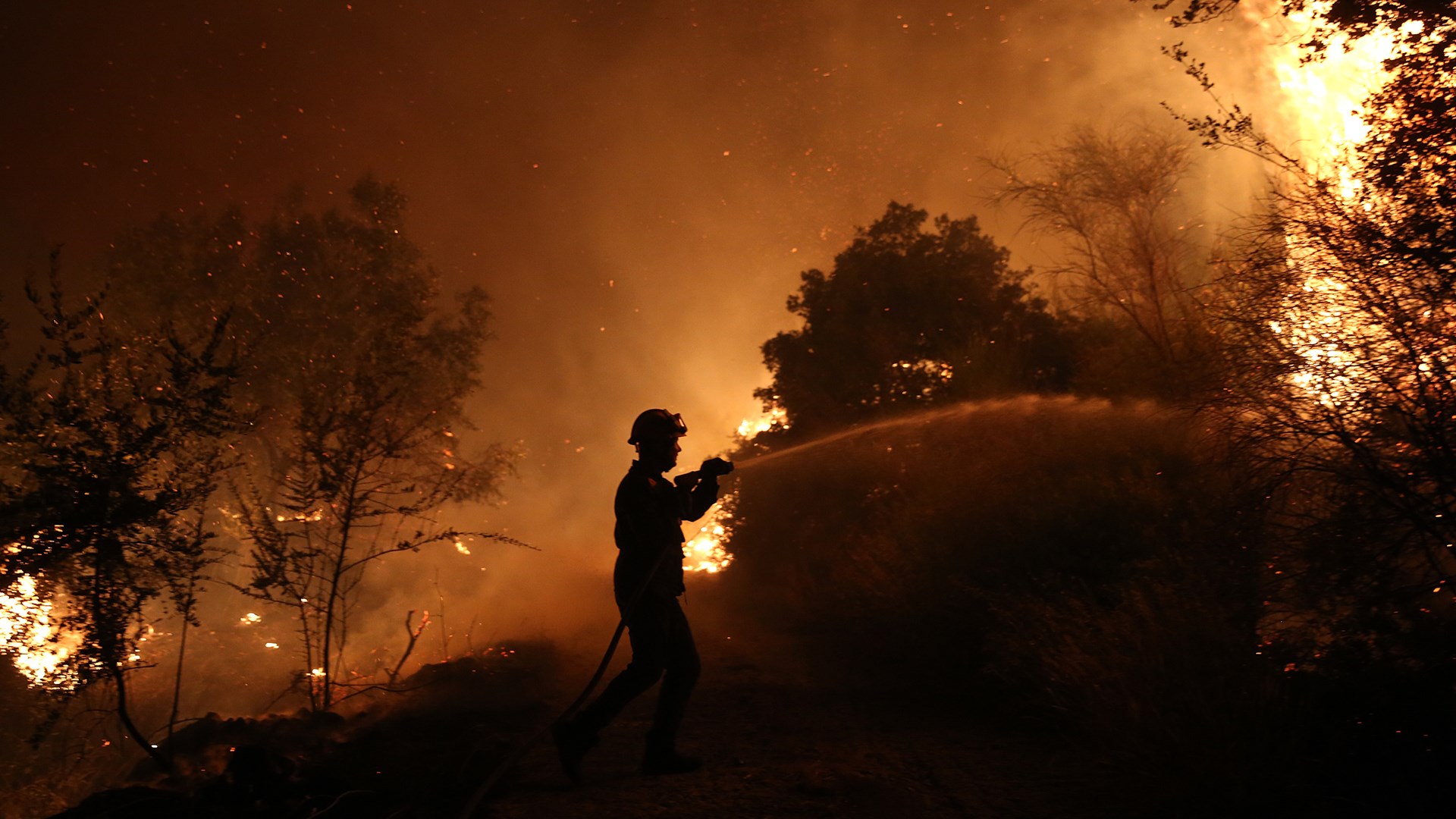 Σε απόσταση αναπνοής από τις φλόγες οι πυροσβέστες – ΦΩΤΟ