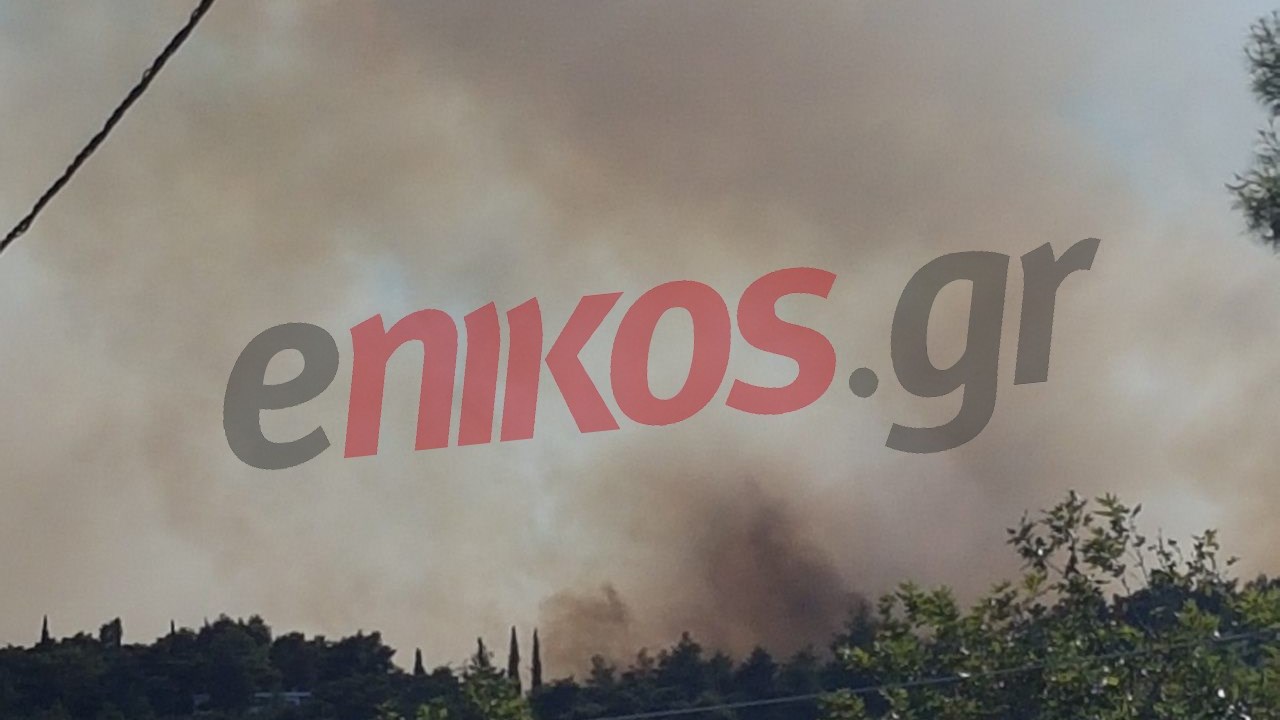 Εκκενώνονται δύο στρατόπεδα στον Βαρνάβα – 25 χλμ. το μέτωπο της φωτιάς
