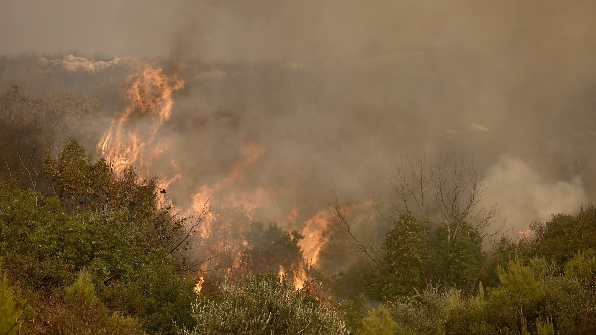 Δήμαρχος Ωρωπού στον Realfm 97,8: Να μας βοηθήσει η Παναγία να μην έχουμε θύματα