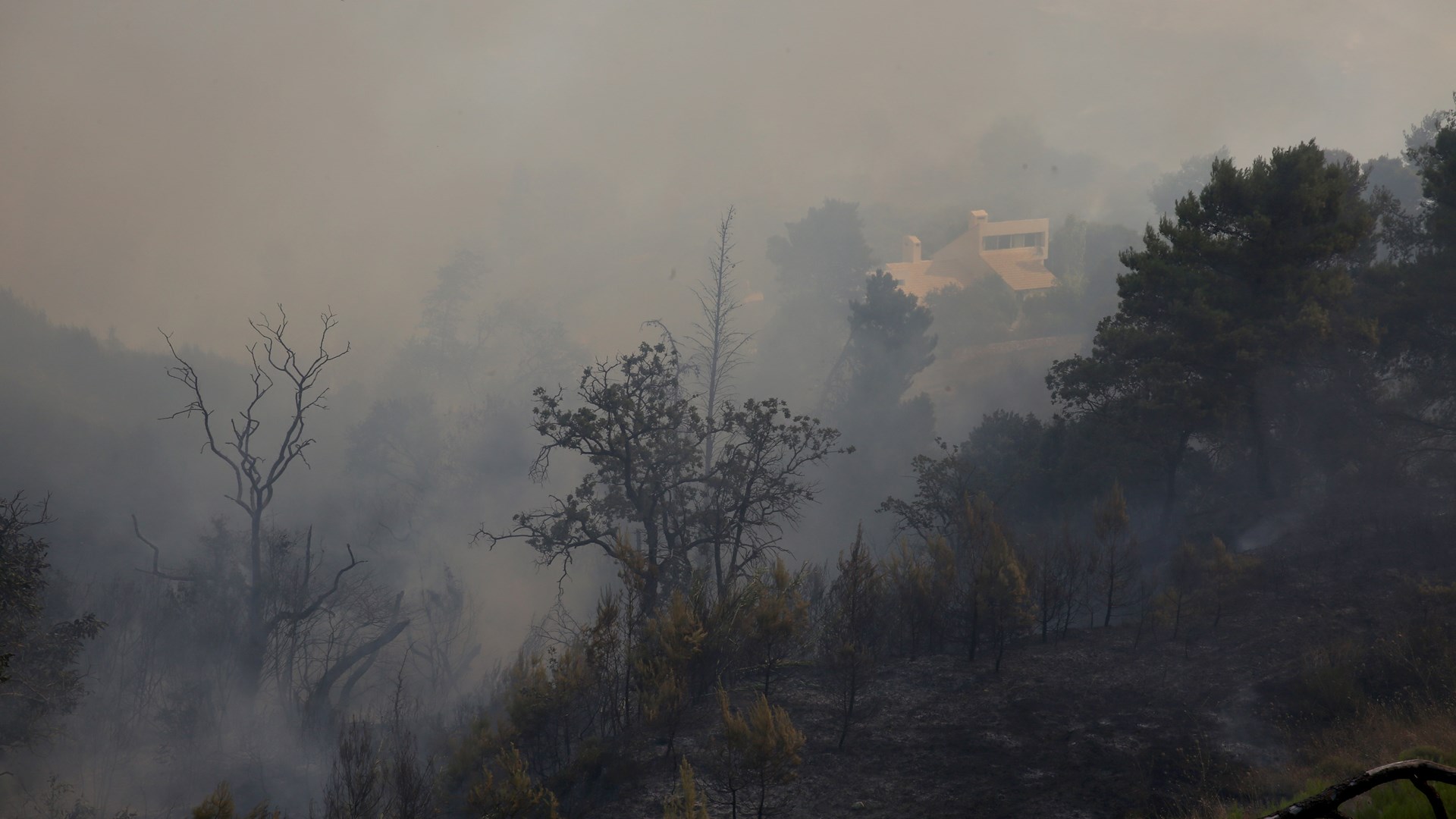 Υψηλός κίνδυνος πυρκαγιάς – Ποιες περιοχές είναι σήμερα σε συναγερμό