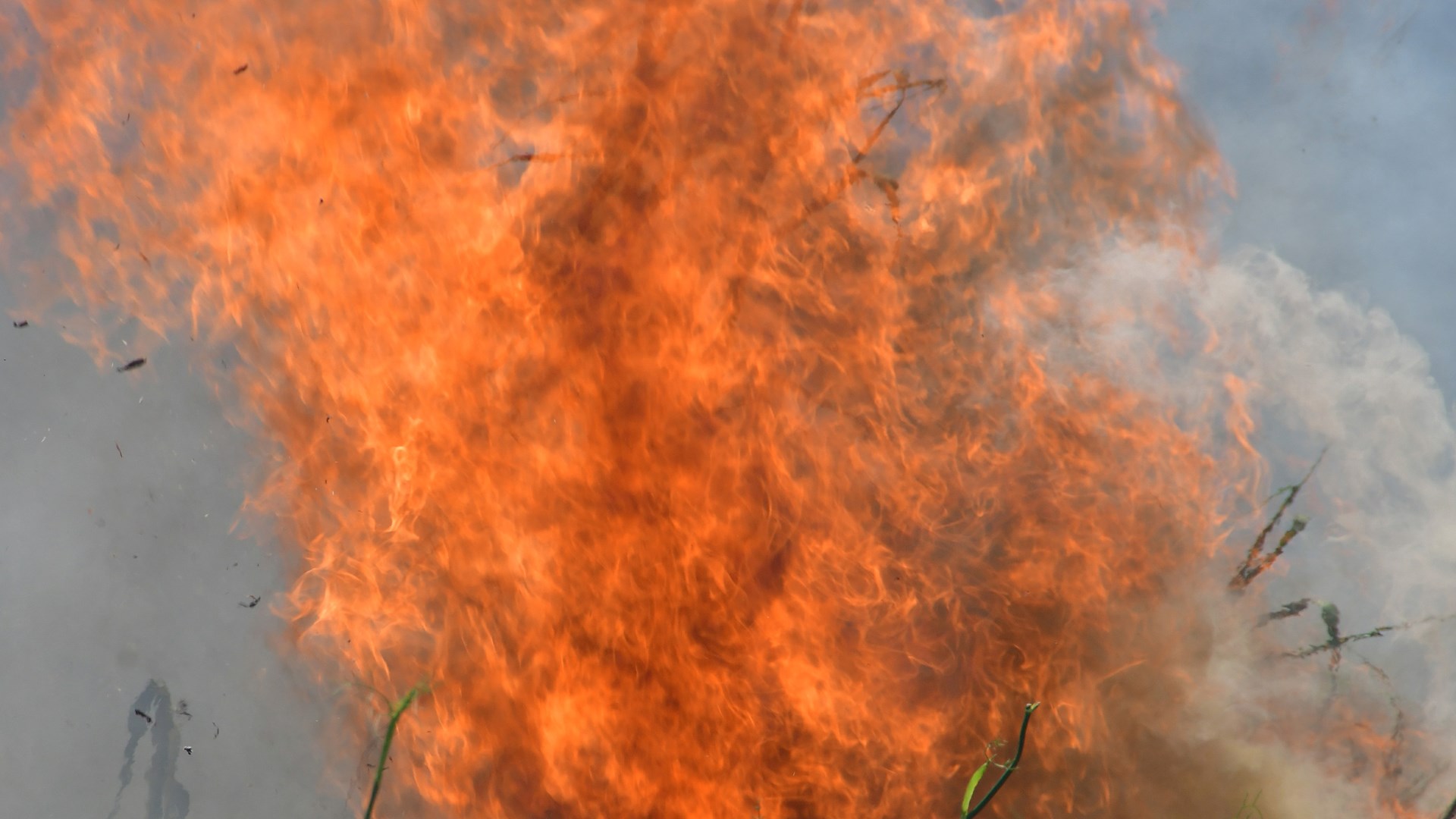 Πολύ υψηλός κίνδυνος πυρκαγιάς τον Δεκαπενταύγουστο – Πέντε Περιφέρειες σε συναγερμό