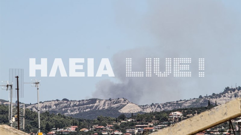 Οι πρώτες εικόνες από τη φωτιά στην Αμαλιάδα – ΦΩΤΟ