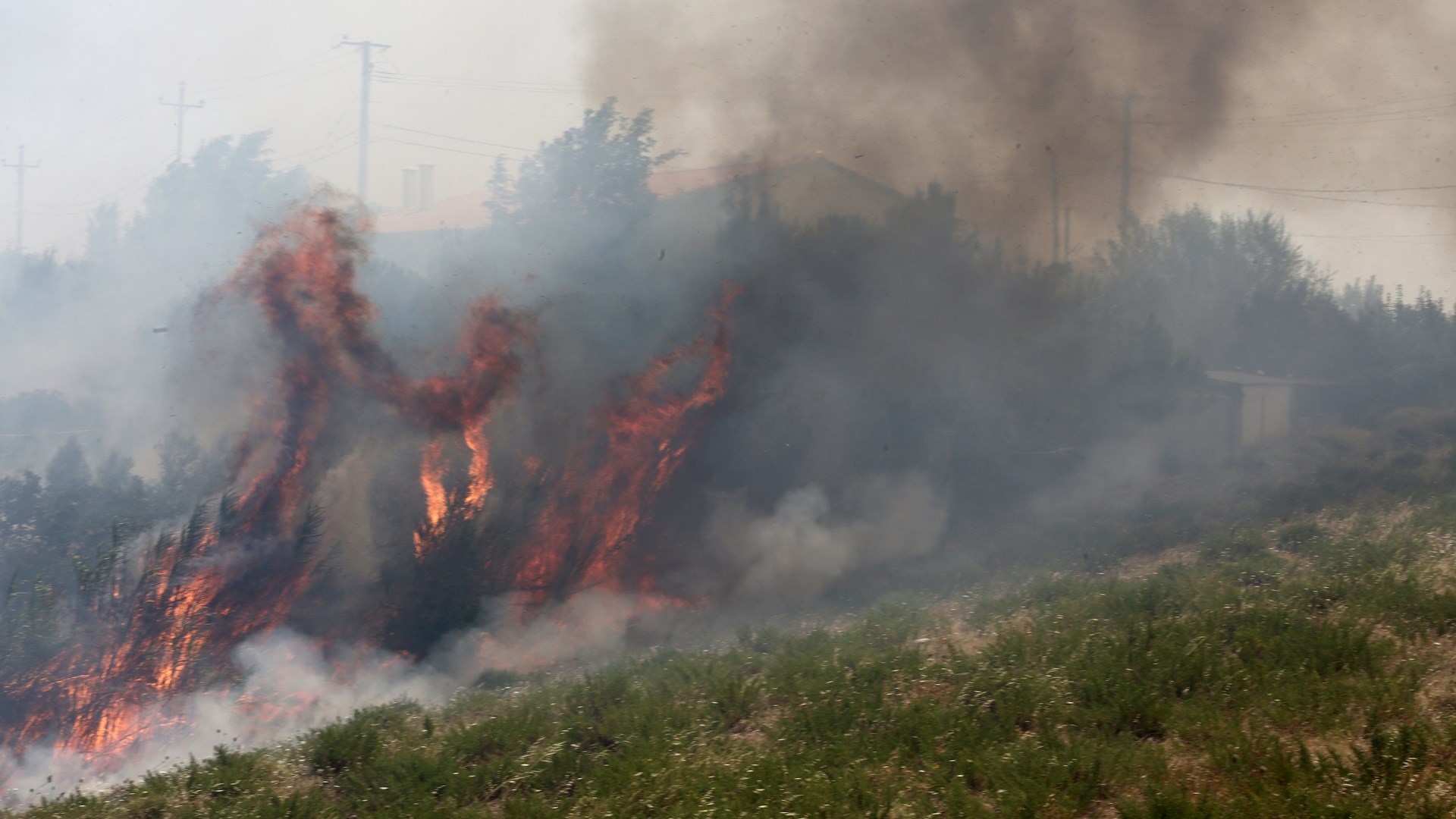 30 δραματικές εικόνες από τη μάχη με τις φλόγες στον Κάλαμο – ΦΩΤΟ