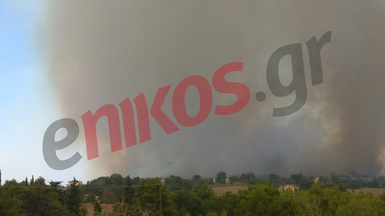 Μεγάλο το μέτωπο της φωτιάς στο Μετόχι – ΦΩΤΟ αναγνώστη