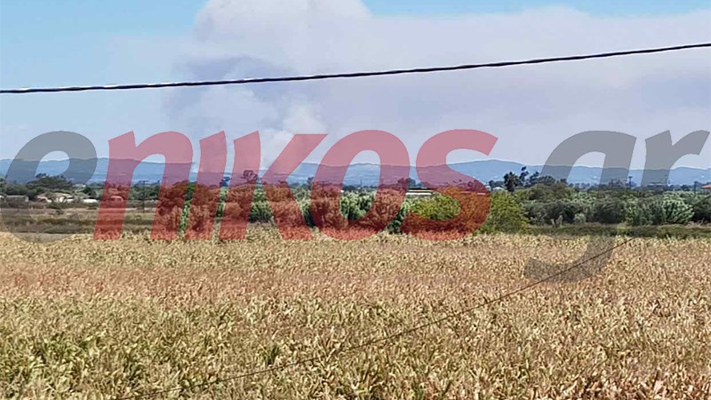 Πυκνοί καπνοί πάνω από την Αμαλιάδα – ΦΩΤΟ αναγνώστη