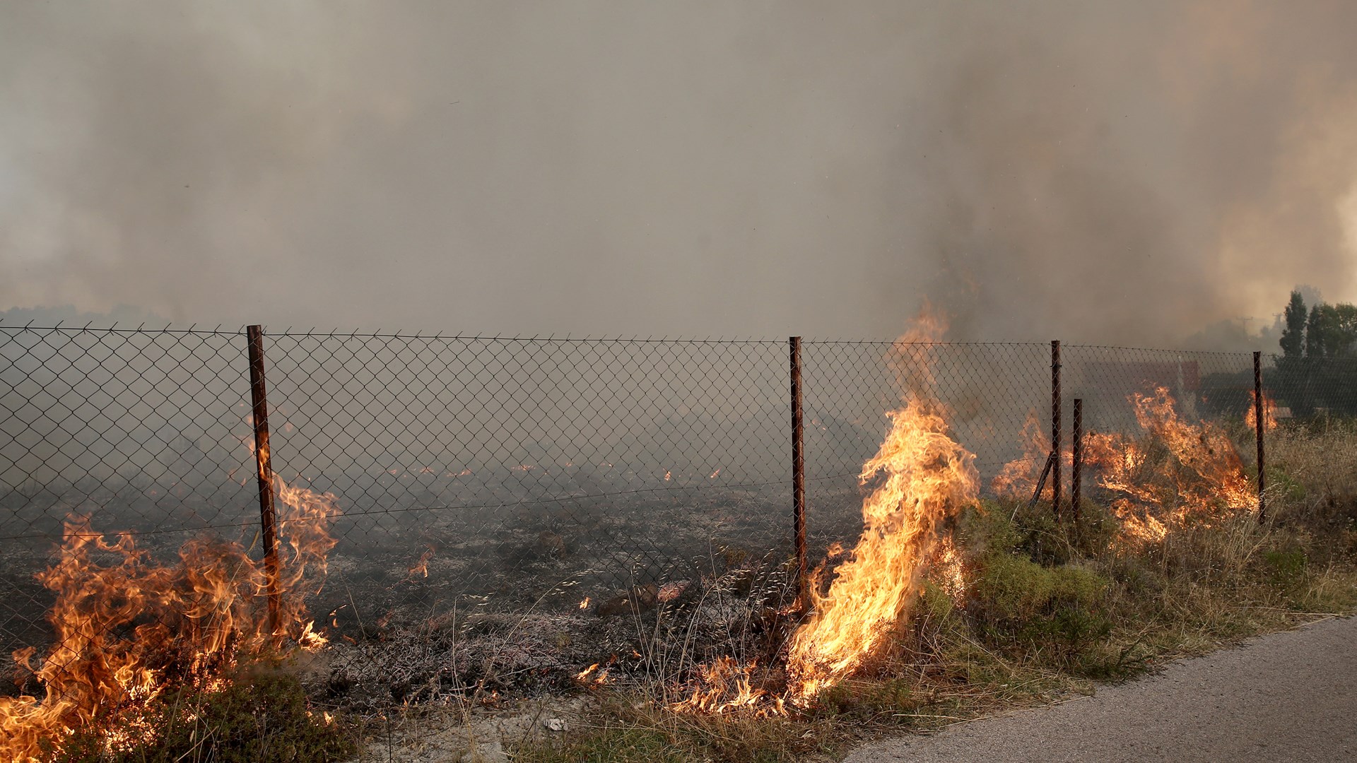 Προβληματισμός στις Αρχές από δύο νέες φωτιές στον Μαραθώνα – Αντιμετωπίστηκαν άμεσα