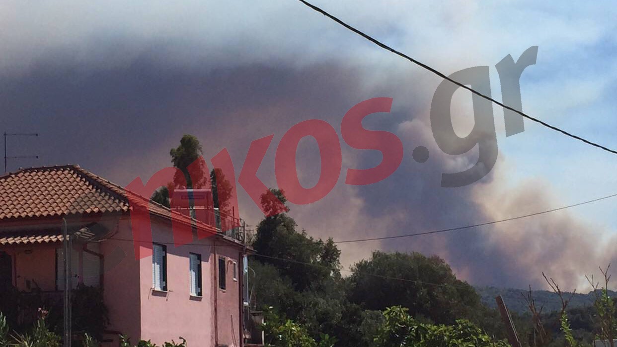 Μαύρο σύννεφο καπνού πάνω από την Αμαλιάδα – ΦΩΤΟ αναγνώστη