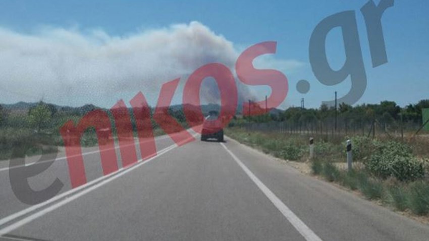 Προς τον οικισμό Περιστέρι κινείται η φωτιά που εκδηλώθηκε στην Αμαλιάδα