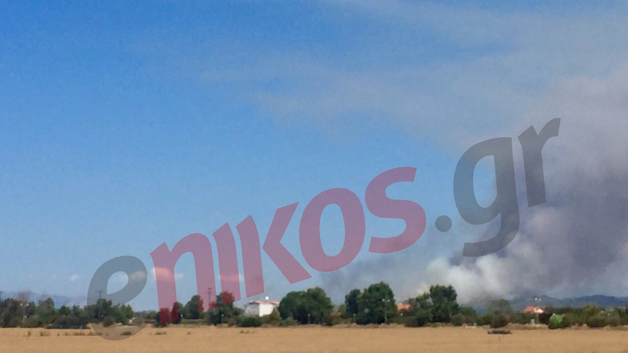 Μαίνεται η πυρκαγιά στην περιοχή της Αμαλιάδας – ΦΩΤΟ αναγνώστη