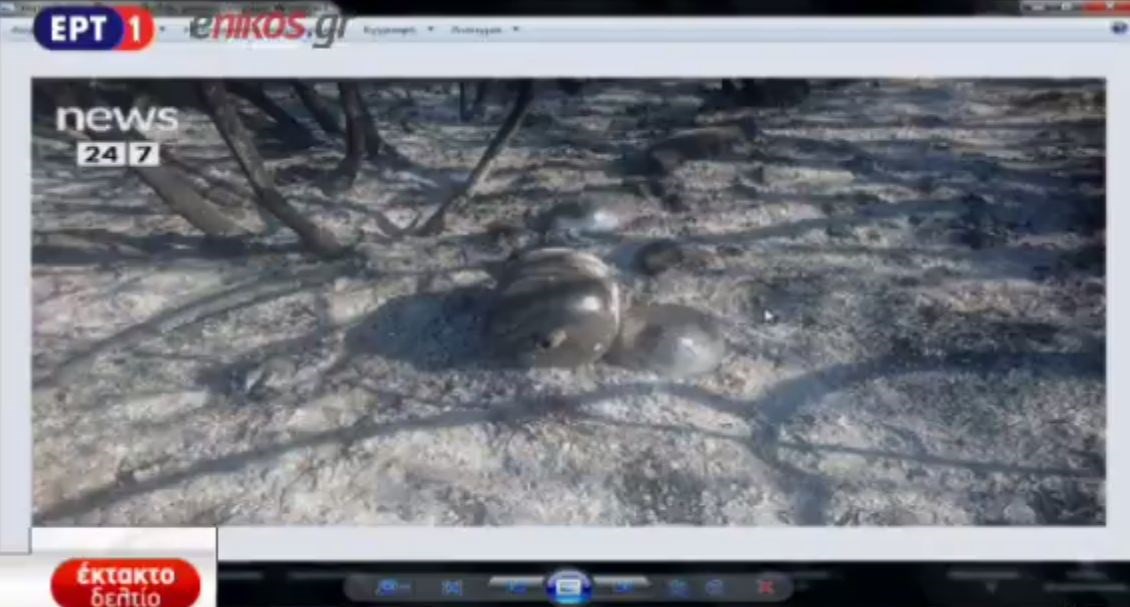 Υποψίες για εμπρησμό στον Κάλαμο – ΦΩΤΟ ντοκουμέντο