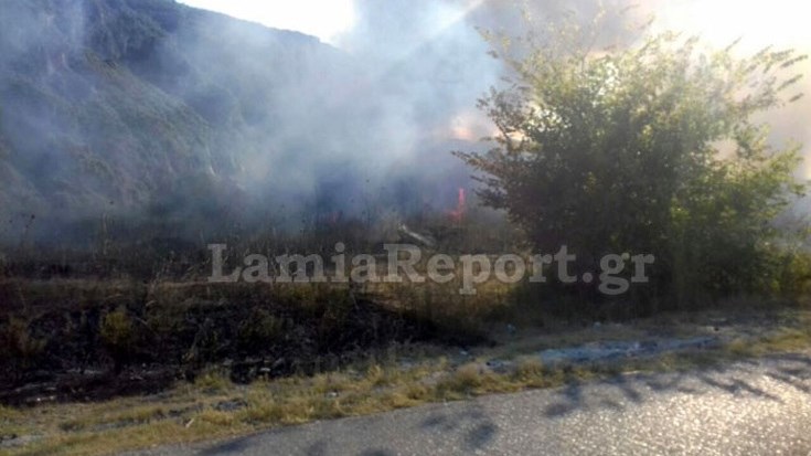 Φωτιά στα Καμένα Βούρλα – ΤΩΡΑ – ΦΩΤΟ