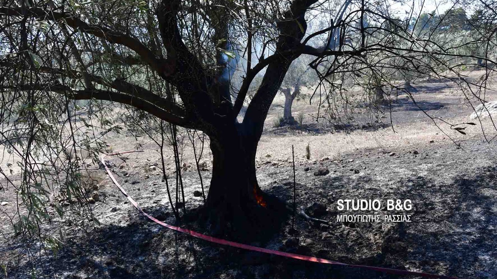 ΦΩΤΟ και ΒΙΝΤΕΟ από την πυρκαγιά στην Αργολίδα