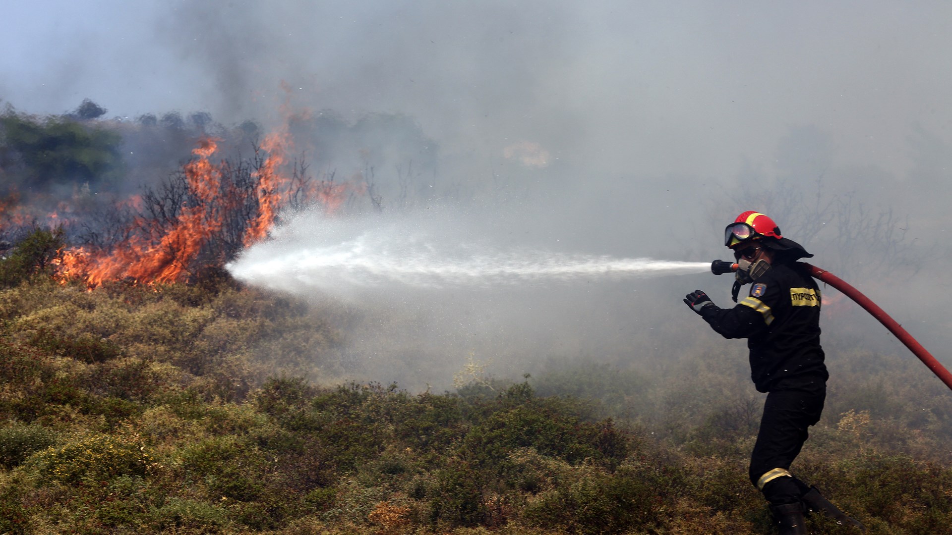 Οδηγίες αυτοπροστασίας των πολιτών από τις δασικές πυρκαγιές