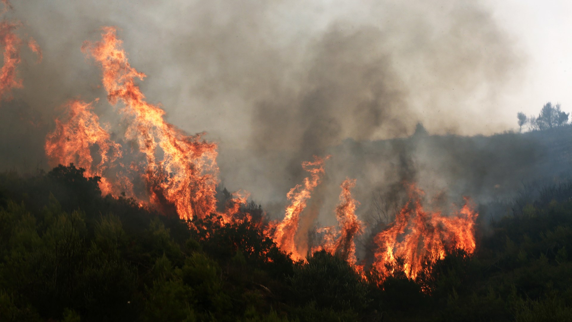 Νέες αναζωπυρώσεις στο Μετόχι – ΤΩΡΑ