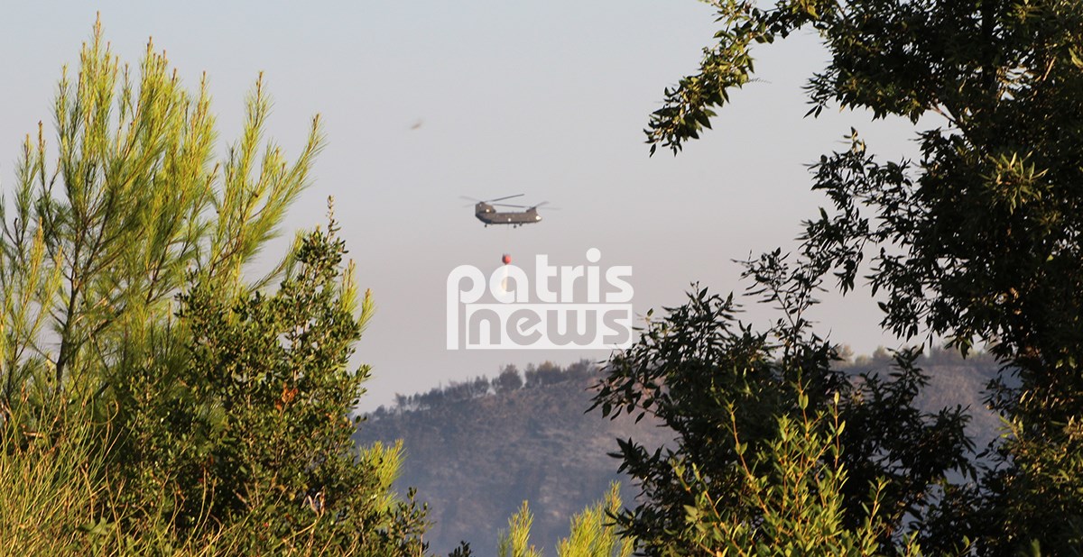 Σε εξέλιξη η πυρκαγιά στην Ηλεία – Συνεχείς αναζωπυρώσεις στα μέτωπα της φωτιάς – ΦΩΤΟ