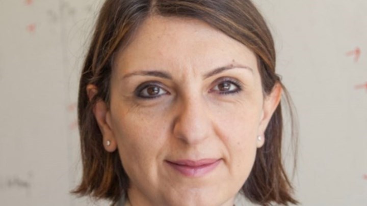 Ελληνίδα ερευνήτρια αναζητά θεραπεία για τις ασθένειες του αίματος