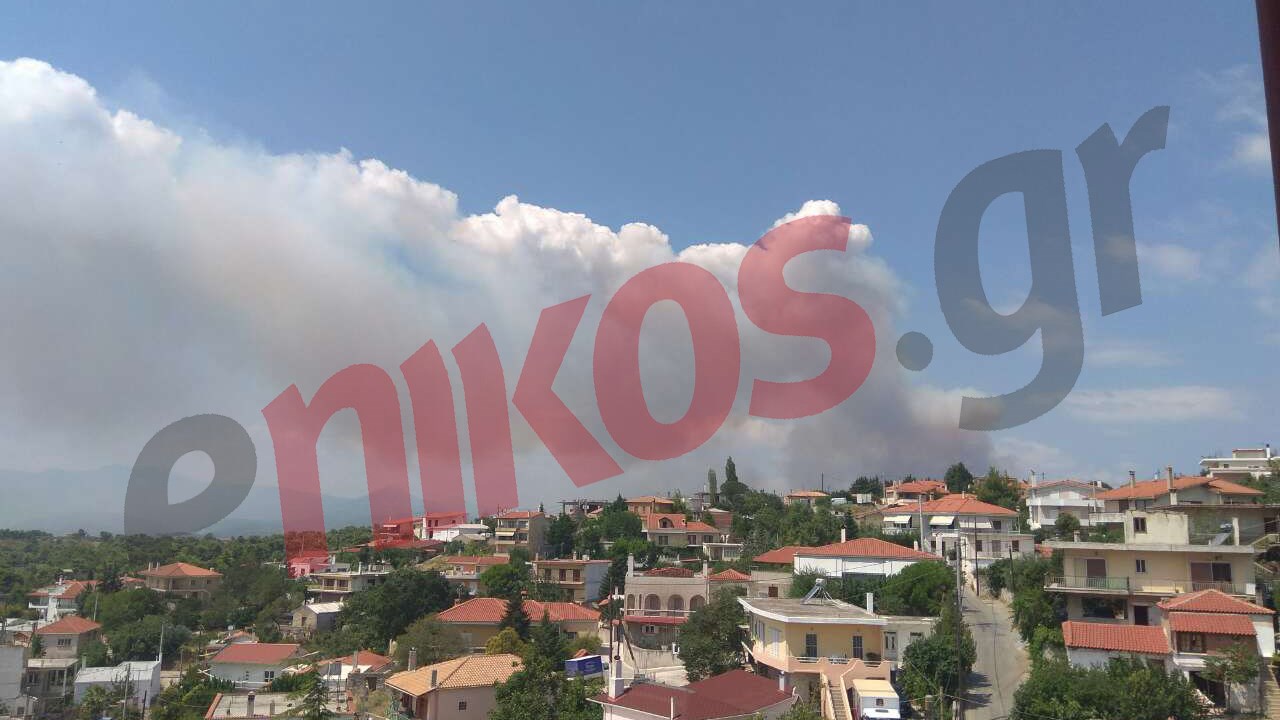 Πυκνοί καπνοί στο Μετόχι από τη μεγάλη φωτιά στο Καπανδρίτι – ΦΩΤΟ αναγνώστη