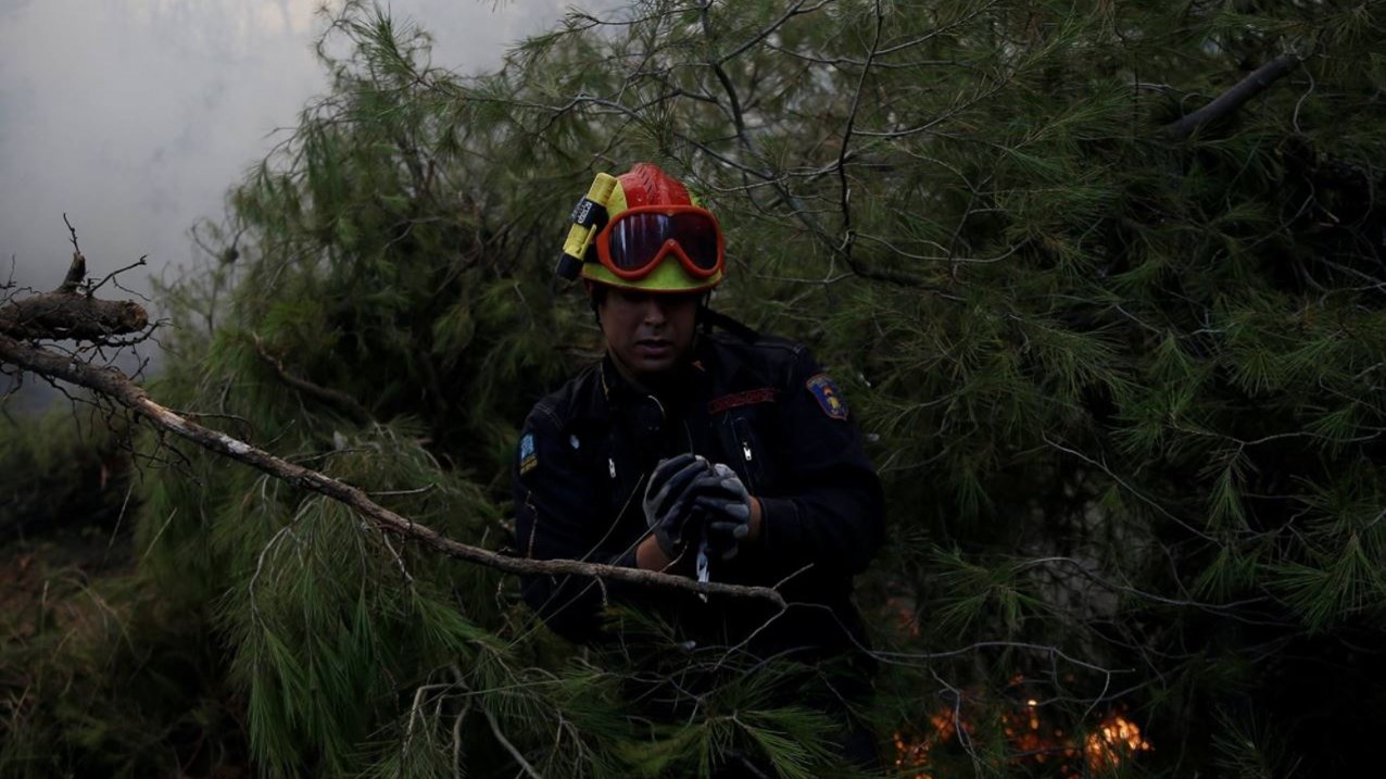 Συγκλονιστική ΦΩΤΟ από το Καπανδρίτι: Ο πυροσβέστης σώζει τη ζωή ενός πτηνού