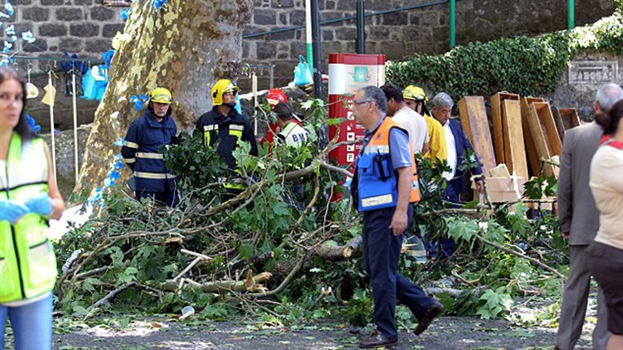 Φρίκη στην Πορτογαλία – 11 νεκροί από πτώση δέντρου σε θρησκευτική γιορτή – ΒΙΝΤΕΟ – ΦΩΤΟ