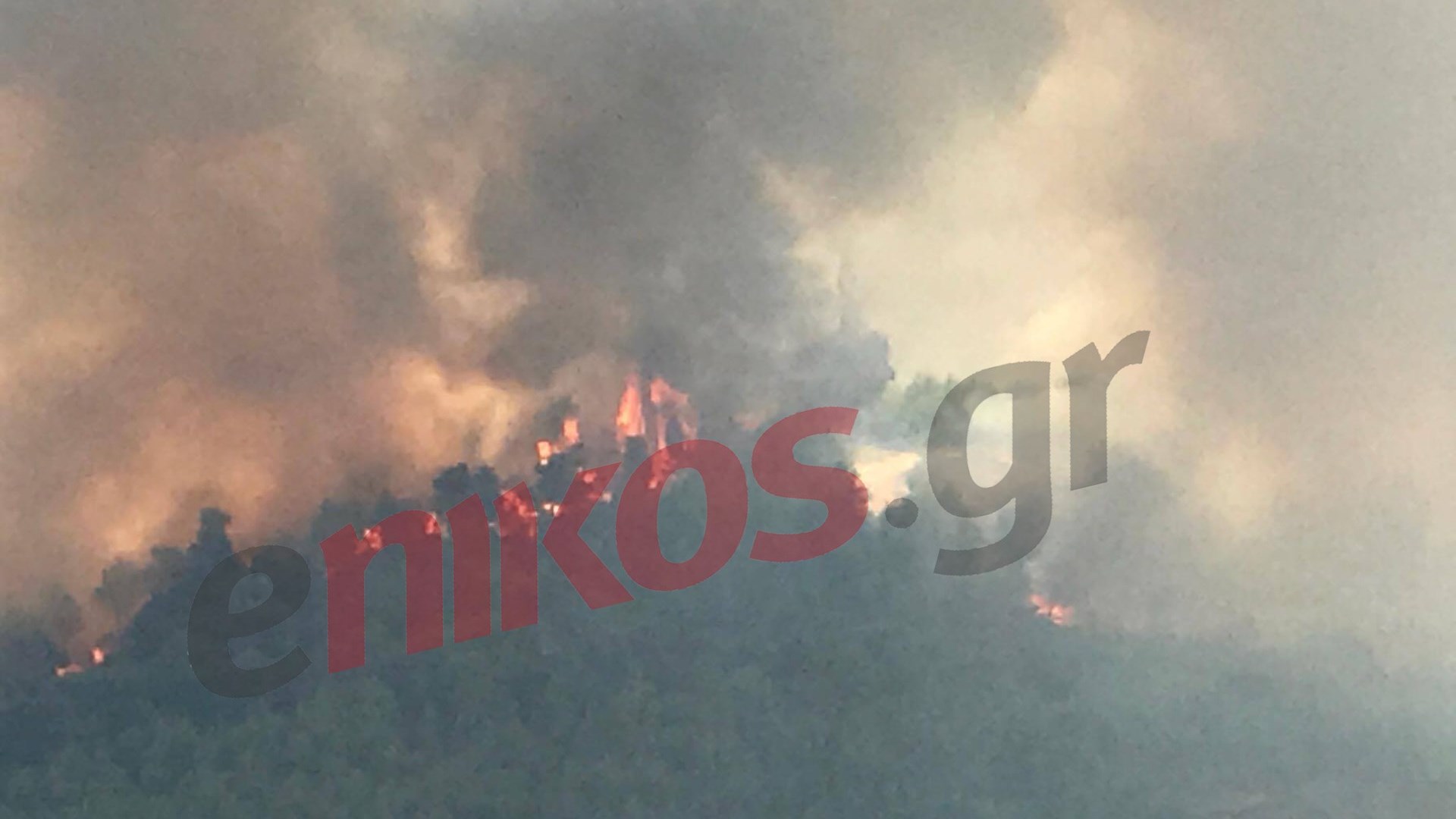 Προς το Πολυδένδρι κατευθύνεται η μεγάλη πυρκαγιά – Εκκενώθηκαν σπίτια στο Σαλαμίδι