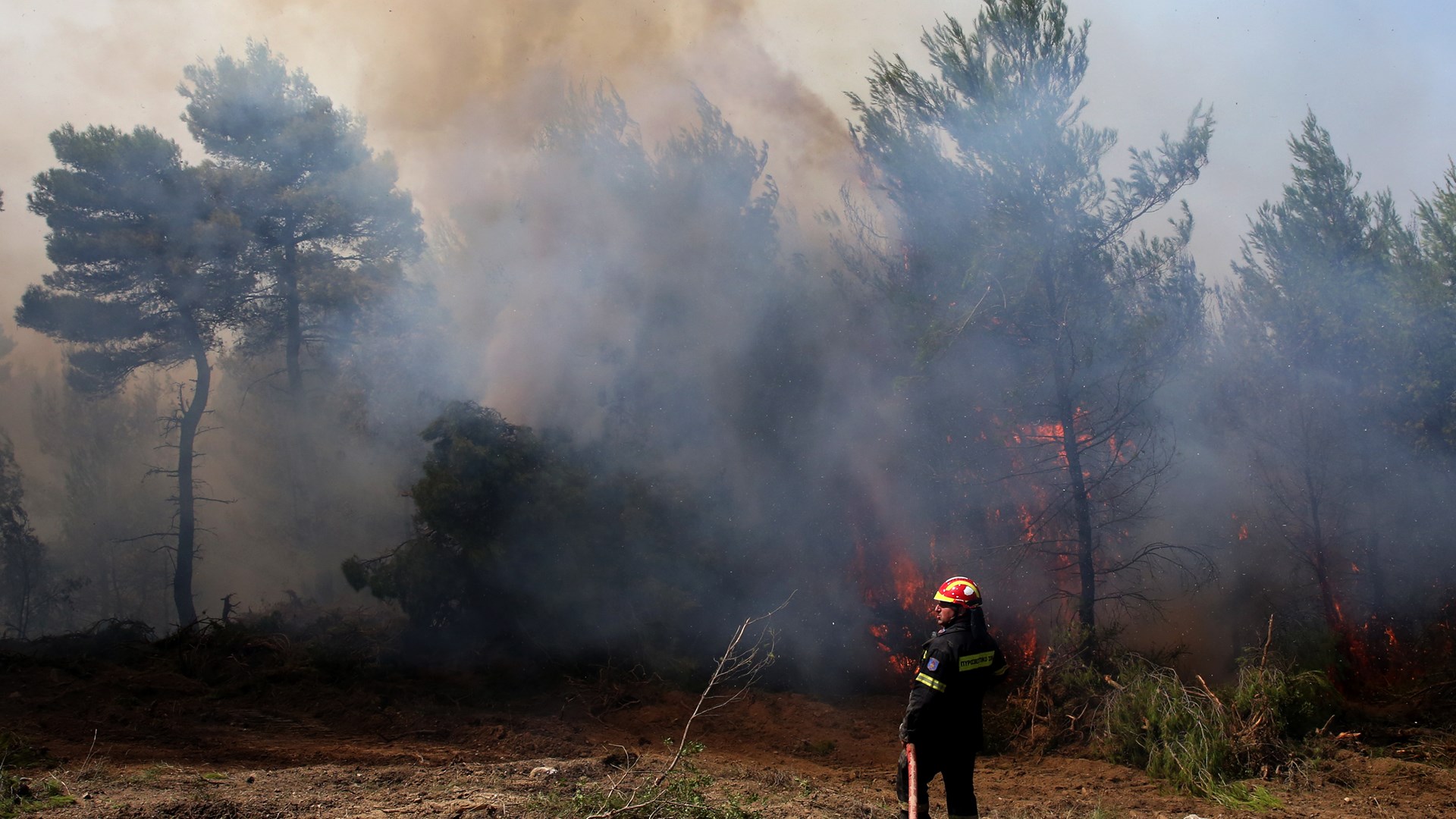14 συγκλονιστικές εικόνες από την πύρινη λαίλαπα στην ανατολική Αττική – ΦΩΤΟ