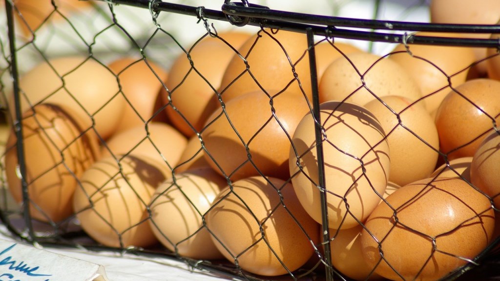 Διατροφικό σκάνδαλο: Και η Ουγγαρία αποσύρει από την αγορά μολυσμένα αυγά