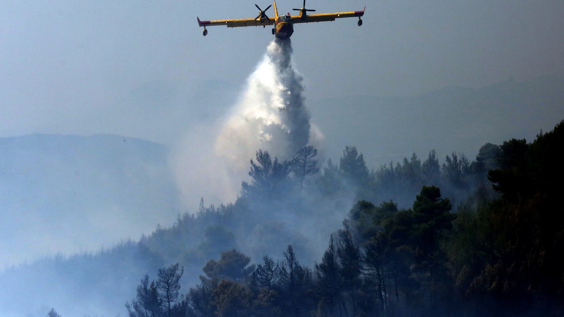 Χωρίς ενεργά μέτωπα οι φωτιές σε Πολυδένδρι και Ηλεία – Σε επιφυλακή για αναζωπυρώσεις