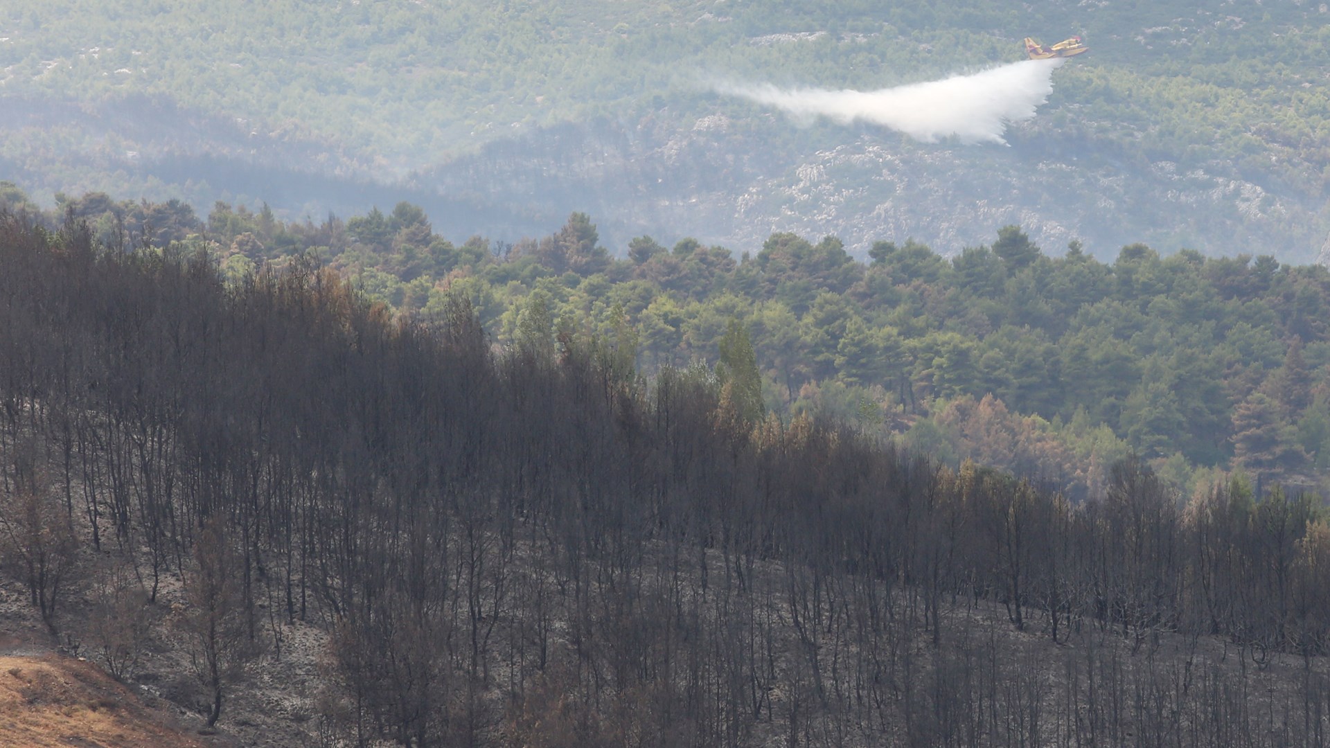 Χωρίς ενεργό μέτωπο η Ανατολική Αττική – Μαίνονται οι φωτιές σε Ζάκυνθο και Ηλεία – ΒΙΝΤΕΟ – ΦΩΤΟ
