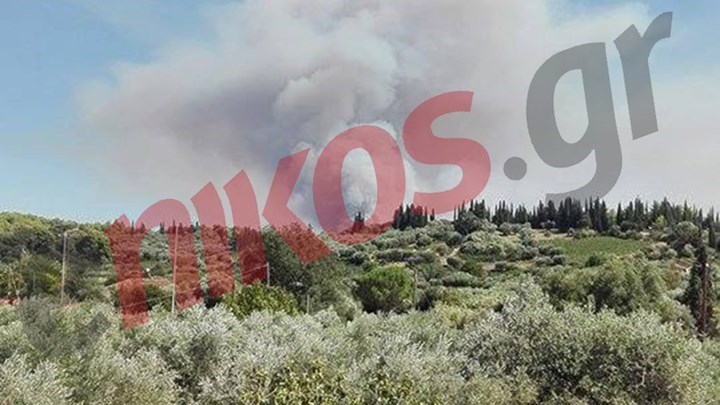 Οριοθετήθηκε η πυρκαγιά στην περιοχή Ανάληψη–Περιστέρι της Ηλείας
