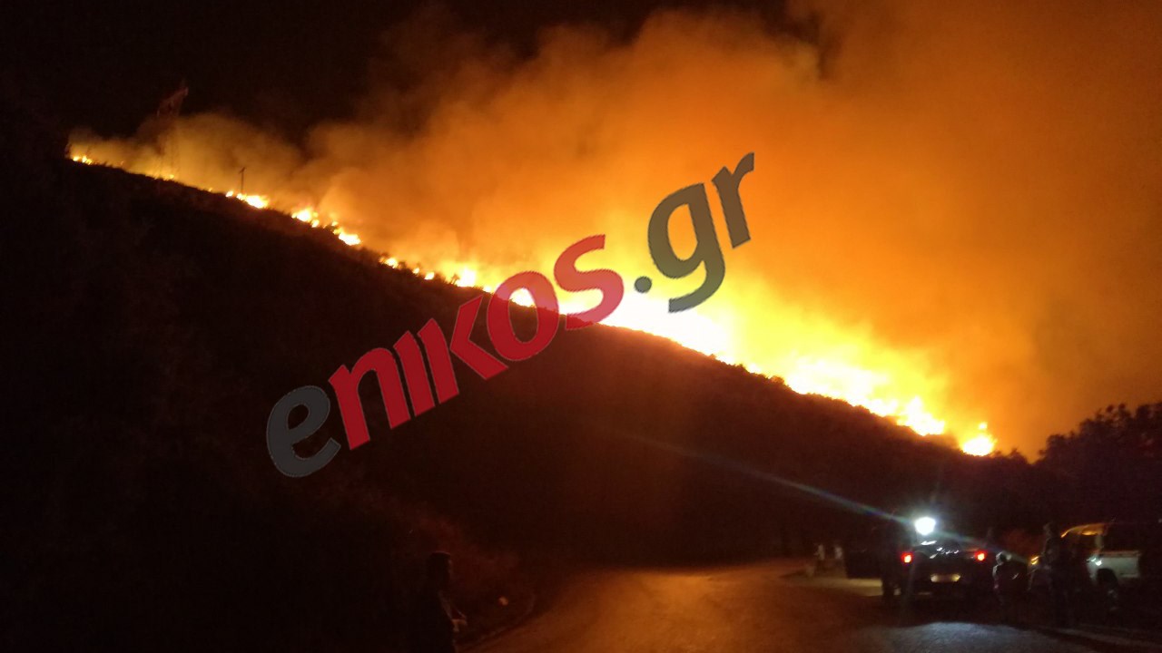Υπό έλεγχο τα πύρινα μέτωπα στην Κεφαλονιά – Νύχτα αγωνίας για τους κατοίκους – Εκκενώθηκαν δύο χωριά – ΦΩΤΟ