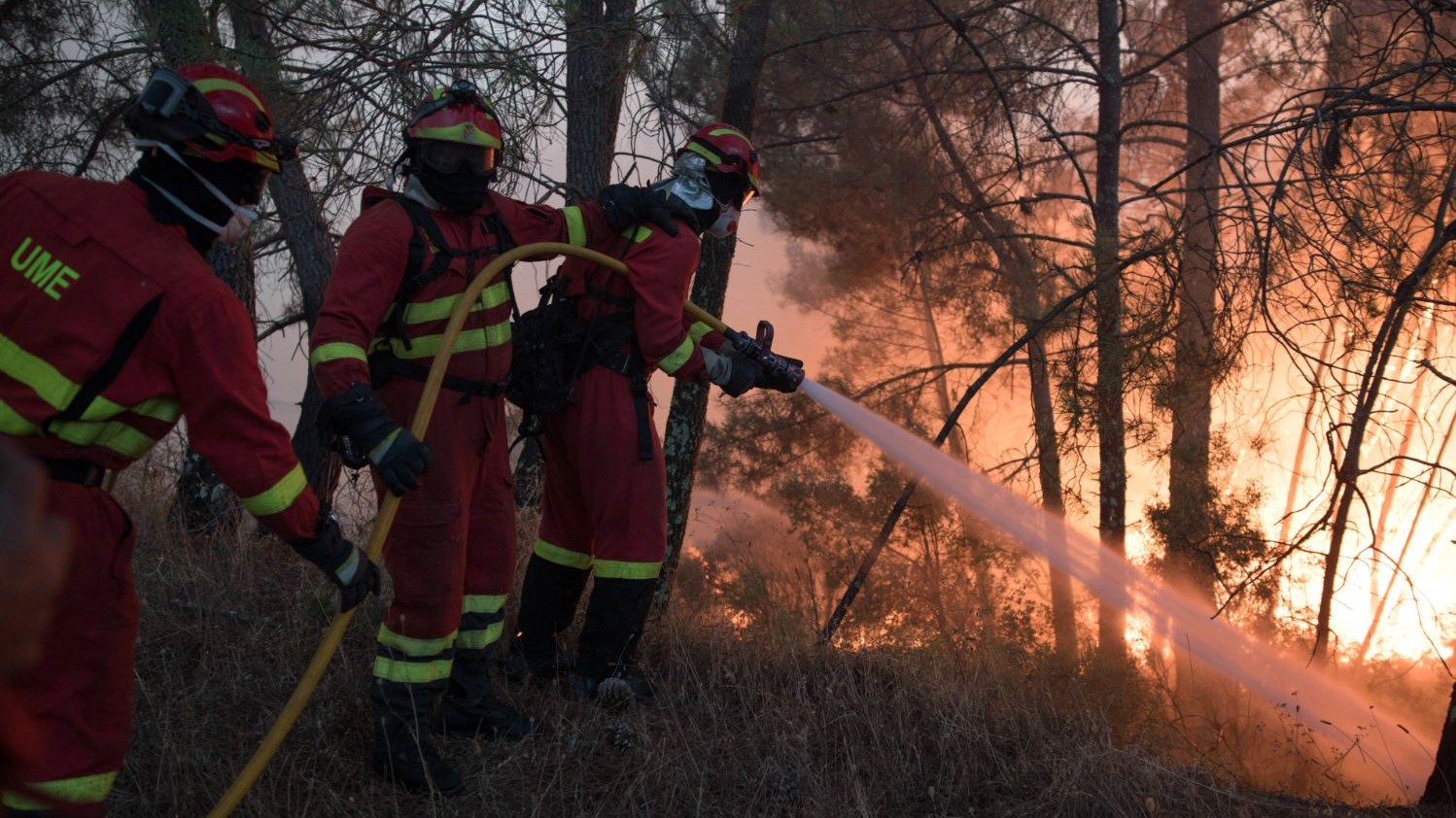 Περισσότερες από 90 συλλήψεις για πρόκληση πυρκαγιών στην Πορτογαλία