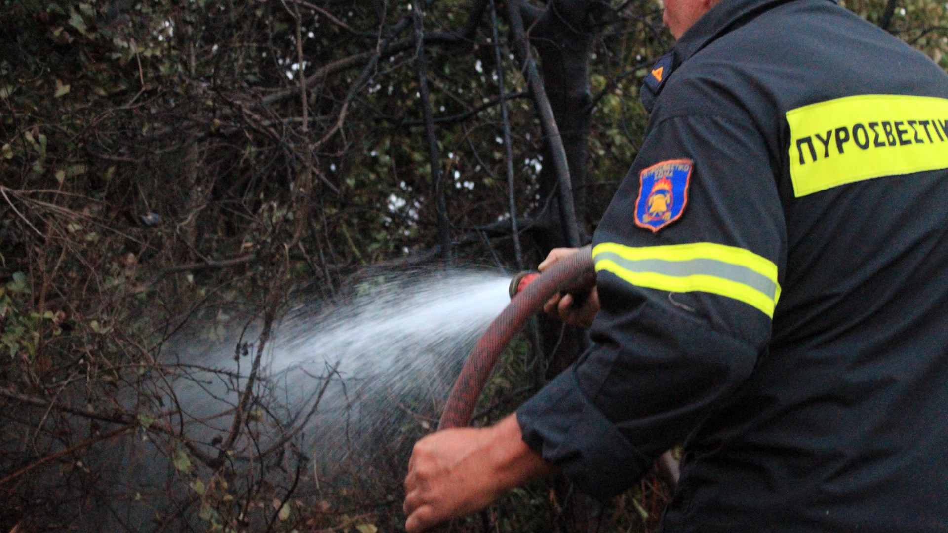 49 πυρκαγιές σε ένα 24ωρο – Ποια η κατάσταση σε Αττική, Ηλεία, Ζάκυνθο και Κεφαλονιά