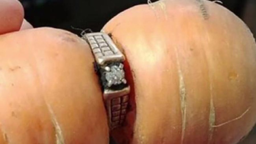 Βρήκε το χαμένο δαχτυλίδι των αρραβώνων της σε… καρότο – ΦΩΤΟ