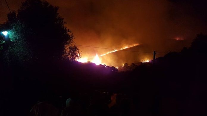 Απειλεί σπίτια η φωτιά στην Κεφαλονιά – Τρία τα πύρινα μέτωπα – ΦΩΤΟ – ΤΩΡΑ