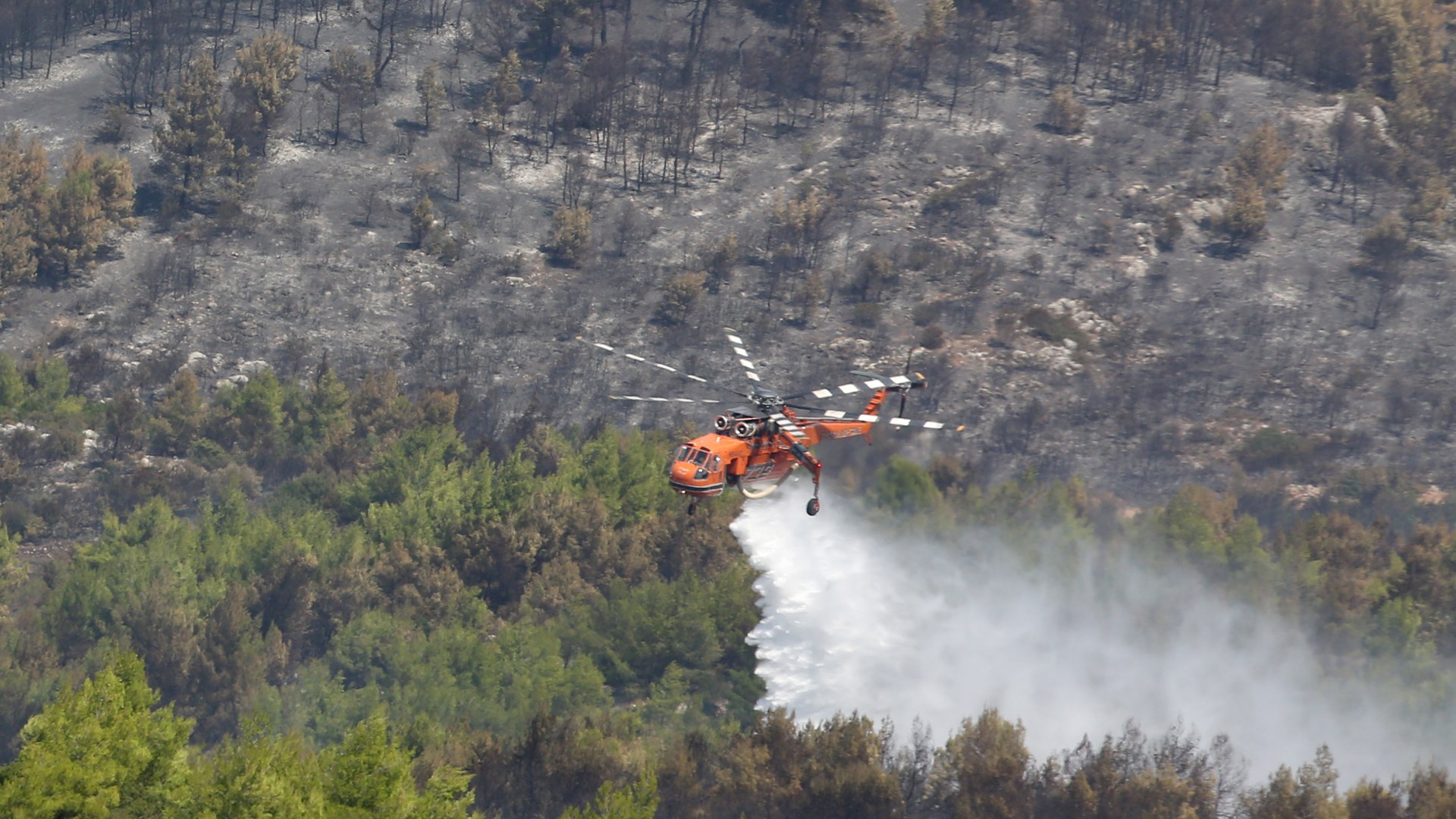 56 φωτιές σε ένα 24ωρο – Πως είναι η κατάσταση σε Κεφαλονιά, Κάλαμο, Ηλεία και Ζάκυνθο