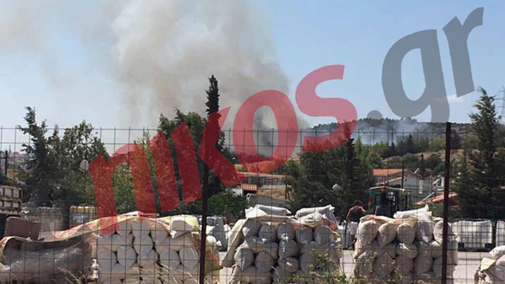 Οι πρώτες εικόνες από τη φωτιά στις Αχαρνές  – ΦΩΤΟ αναγνώστη