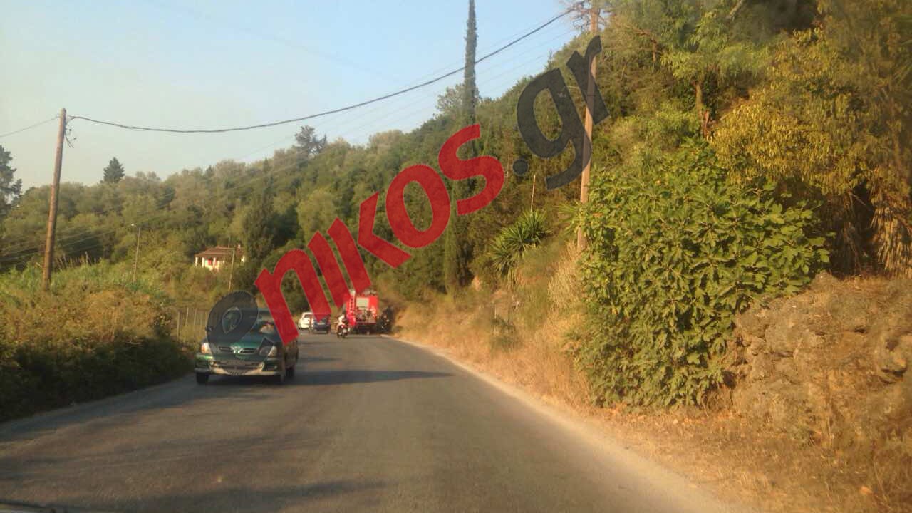 Νέα πυρκαγιά στην Κέρκυρα – ΦΩΤΟ αναγνώστη